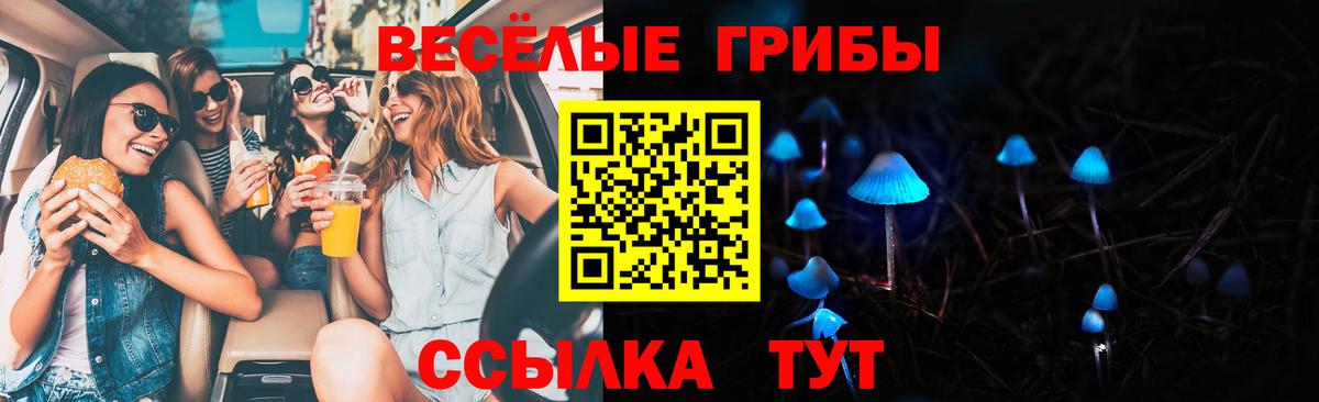 Галлюциногенные грибы GOLDEN TEACHER  Вход с VPN  Тейково 